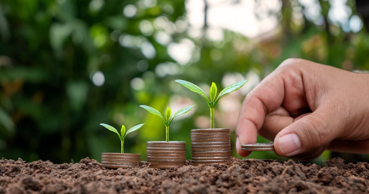 A stack of coins with plants growing from them, representing ROI for content and other marketing initiatives.